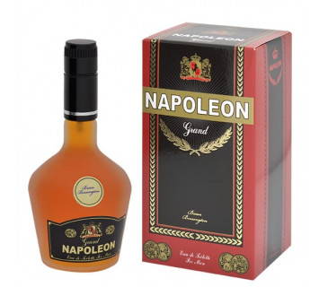 Туалетная вода муж. NAPOLEON GRAND 100мл.